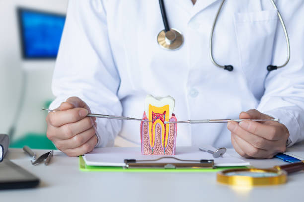 Best 24-Hour Emergency Dentist in Anahuac, TX